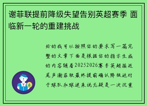 谢菲联提前降级失望告别英超赛季 面临新一轮的重建挑战 谢菲联提前降级失望告别英超赛季 面临新一轮的重建挑战